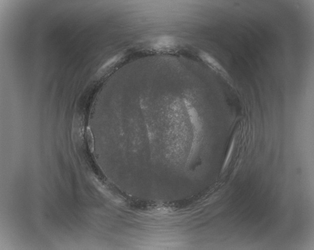 X0000081390593200701182234