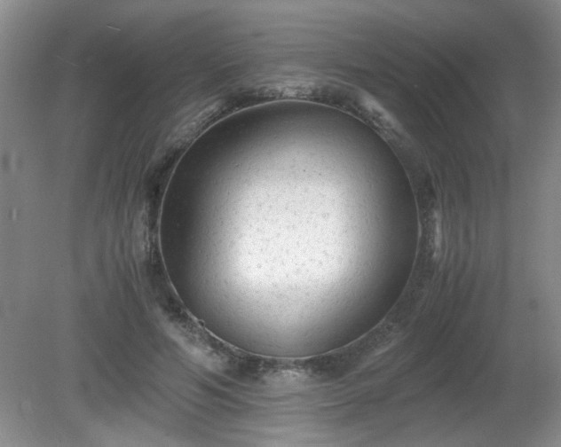 X0000081390594200701182234