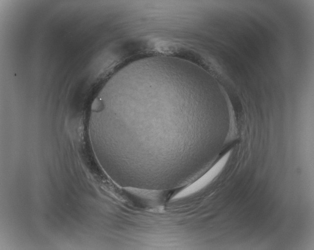 X0000081390595200701182234