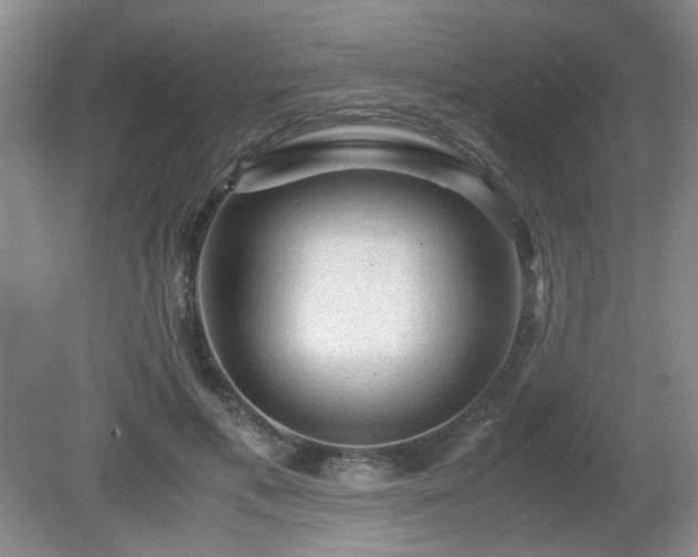 X0000081390597200701182234