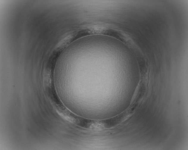 X0000081390599200701182234