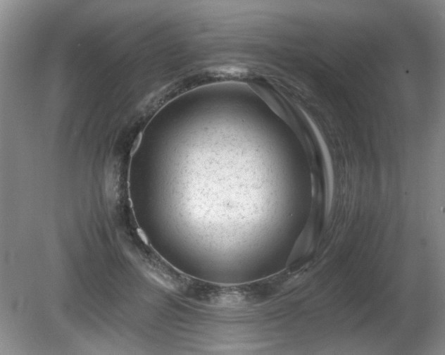 X0000081390600200701182234