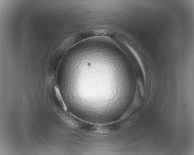 X0000081390601200701182234