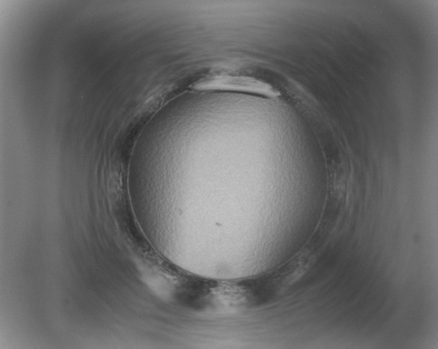 X0000081390603200701182234