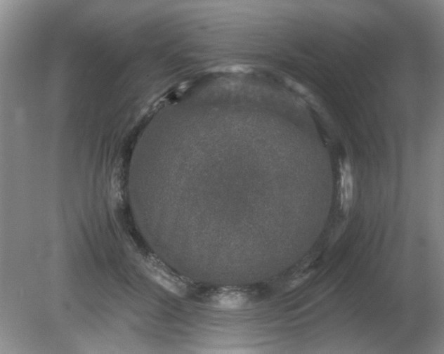 X0000081390604200701182234