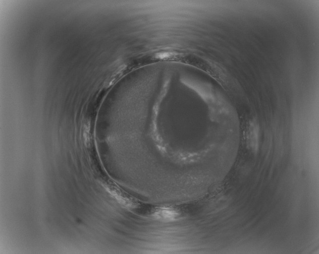 X0000081390610200701182234