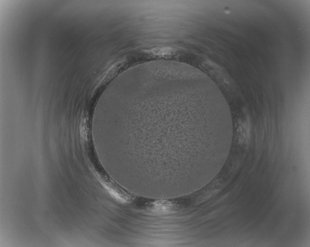 X0000081390612200701182234