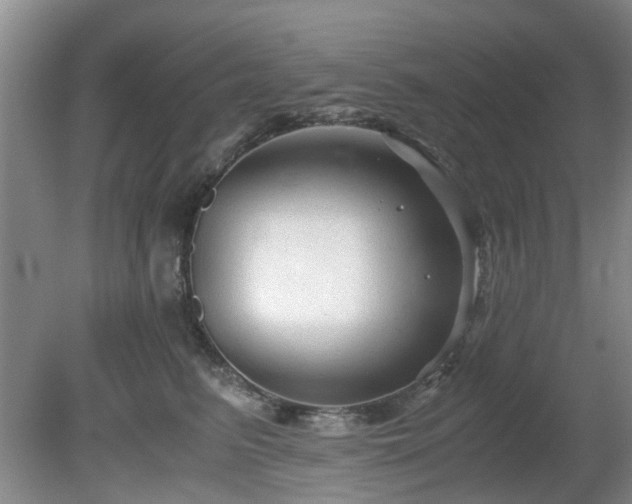 X0000081390615200701182234