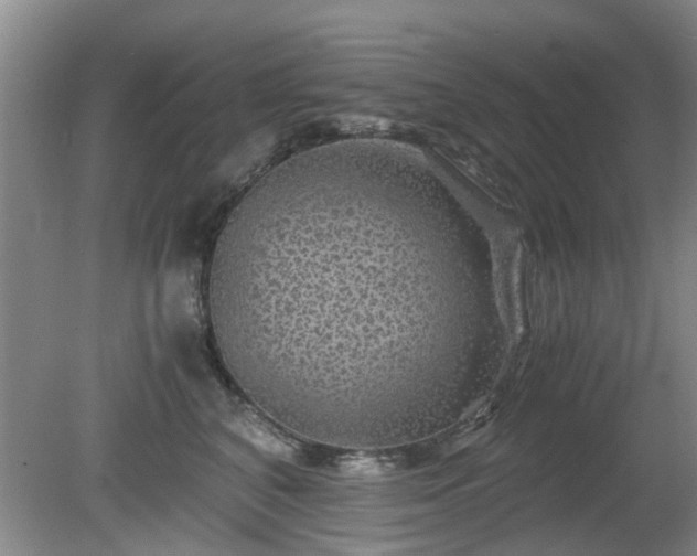 X0000081390616200701182234