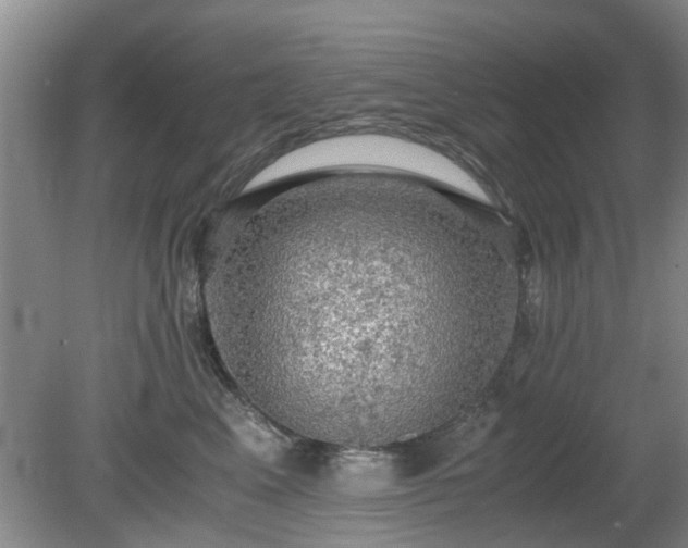 X0000081390617200701182234