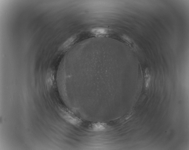 X0000081390618200701182234