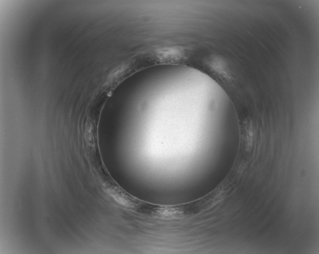 X0000081390619200701182234