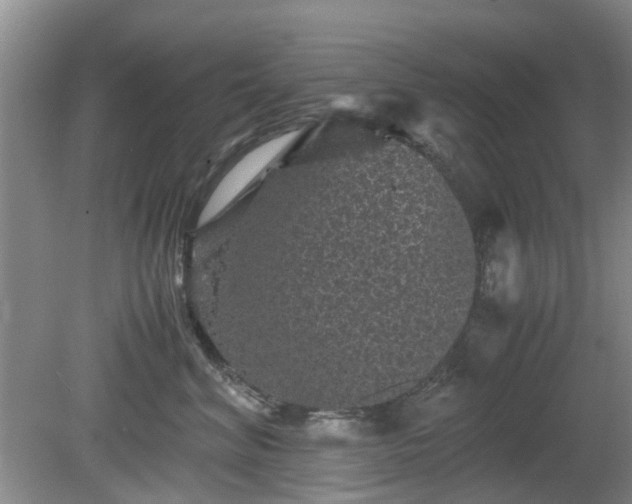 X0000081390620200701182234