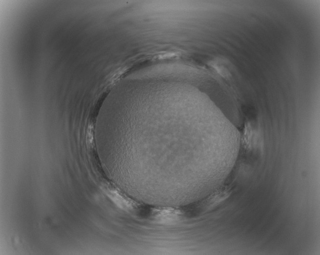 X0000081390621200701182234