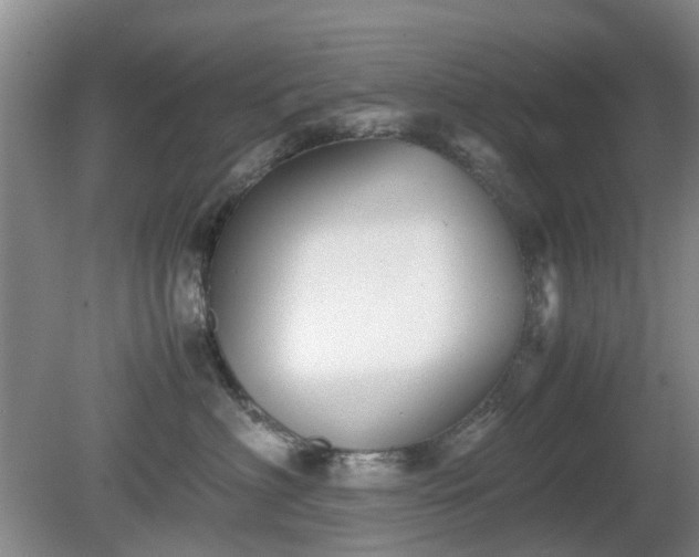 X0000081390622200701182234