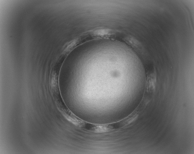 X0000081390623200701182234