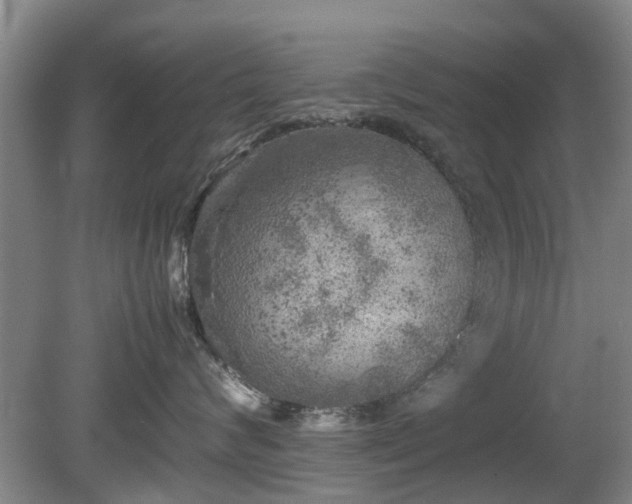 X0000081390624200701182234