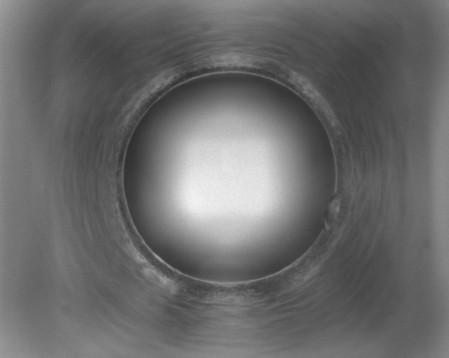 X0000081390625200701182233