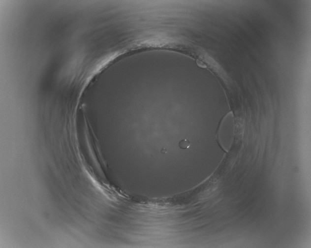 X0000081390626200701182233