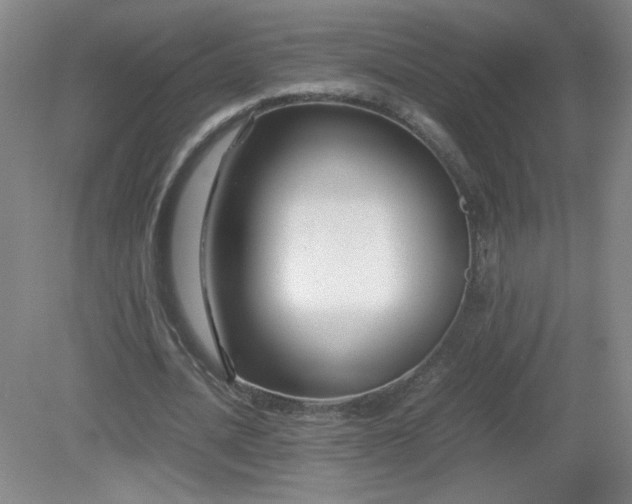 X0000081390628200701182233