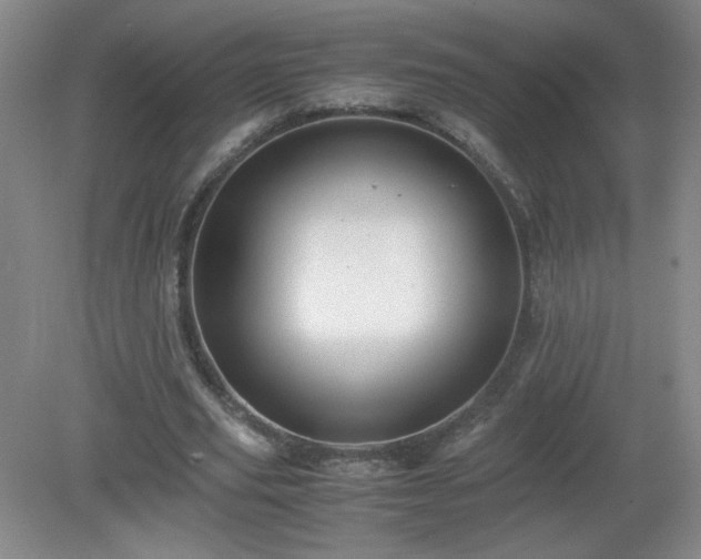 X0000081390629200701182233