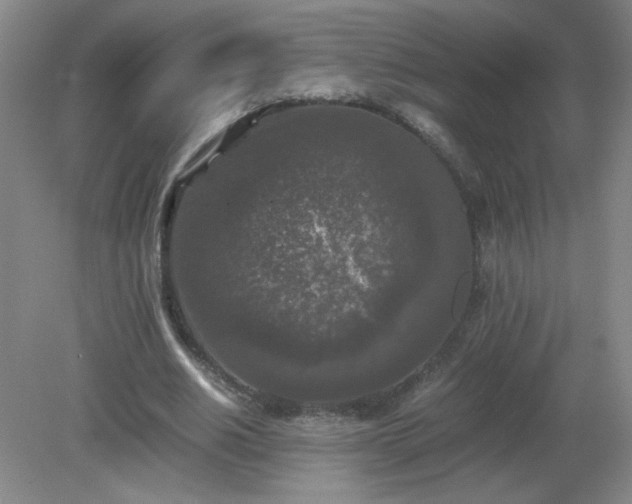 X0000081390630200701182233