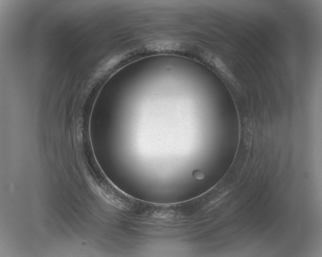 X0000081390631200701182233