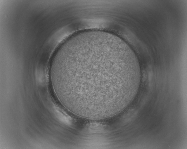 X0000081390632200701182233