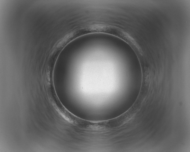 X0000081390633200701182233