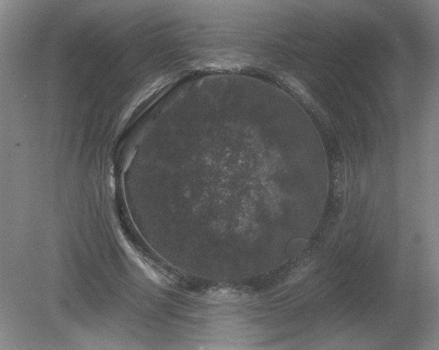 X0000081390634200701182233