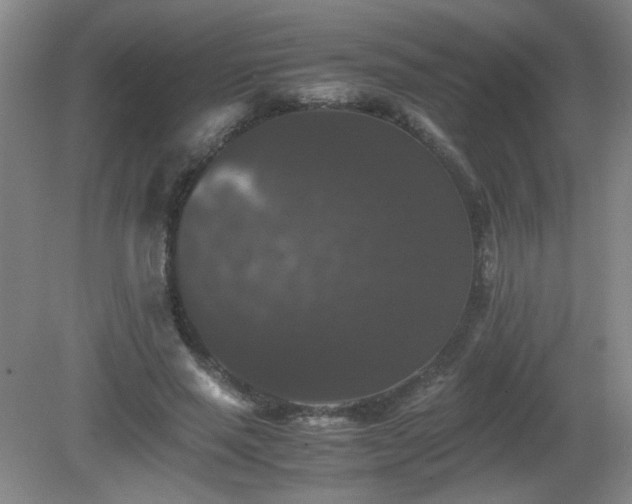 X0000081390637200701182233