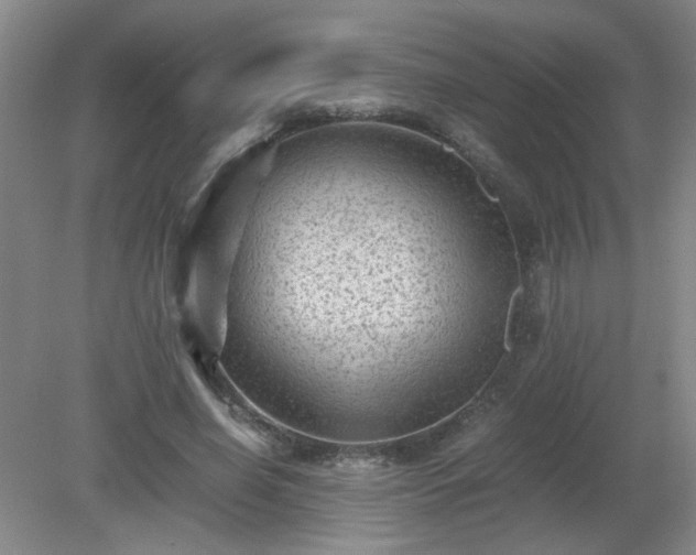 X0000081390638200701182233