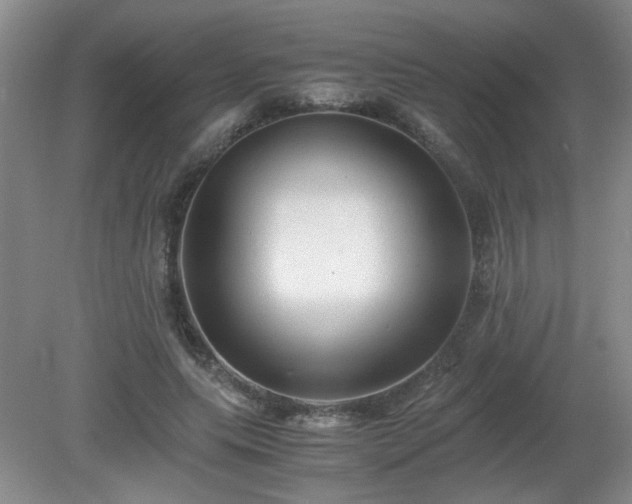 X0000081390639200701182233