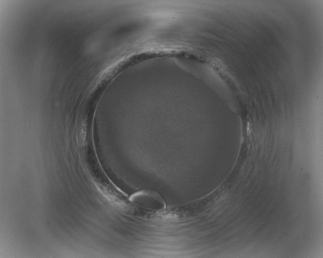 X0000081390640200701182233