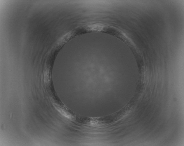 X0000081390641200701182233