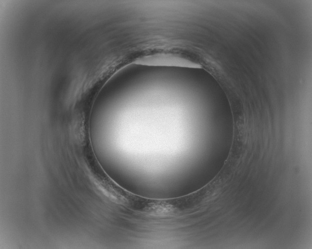 X0000081390642200701182233