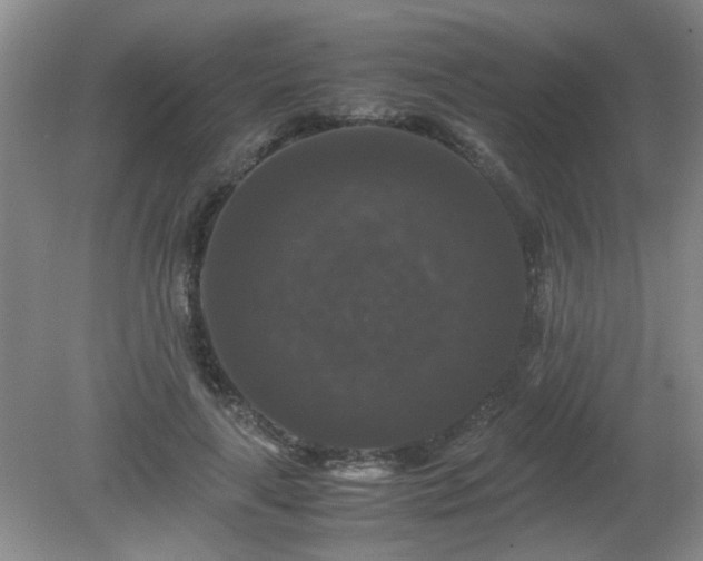 X0000081390643200701182233