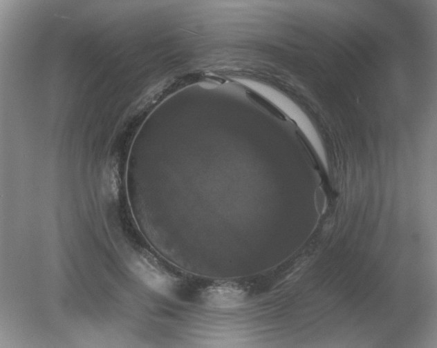 X0000081390644200701182233