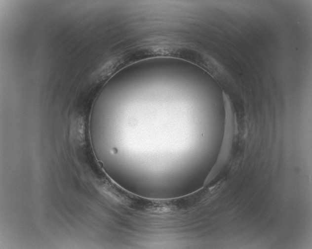 X0000081390646200701182233