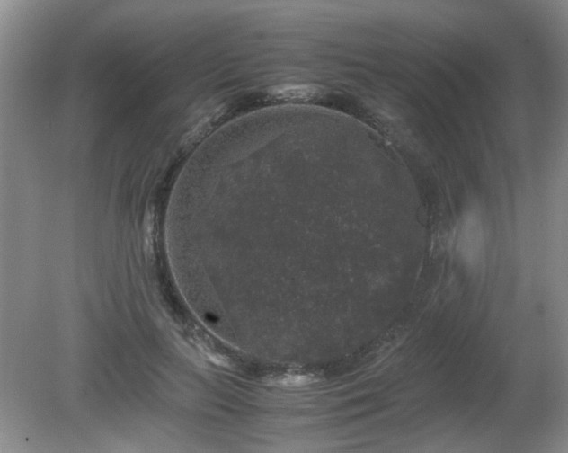 X0000081390647200701182233