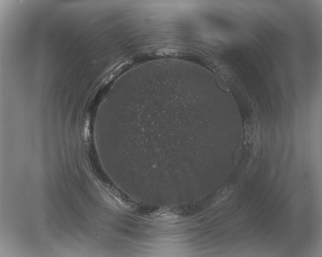 X0000081390648200701182233