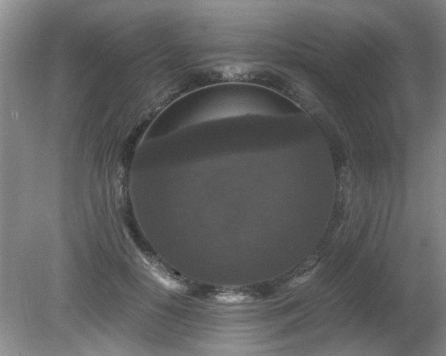 X0000081390650200701182233