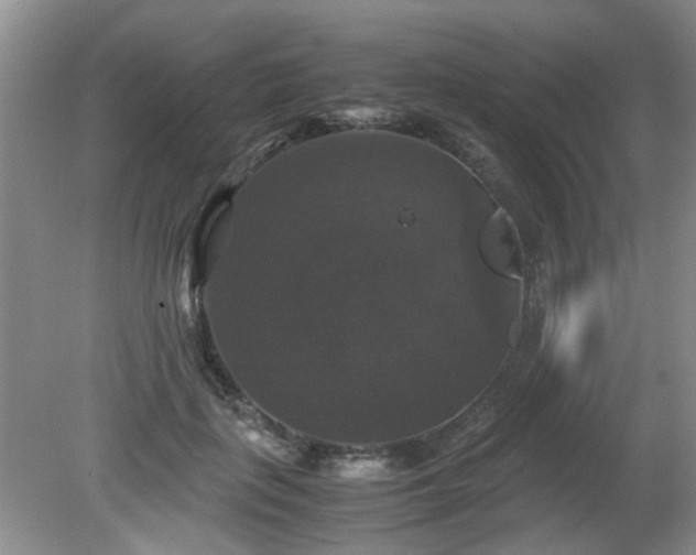 X0000081390651200701182233