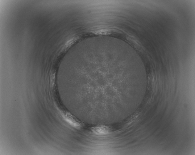 X0000081390652200701182233