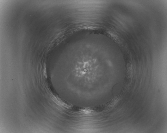 X0000081390654200701182233