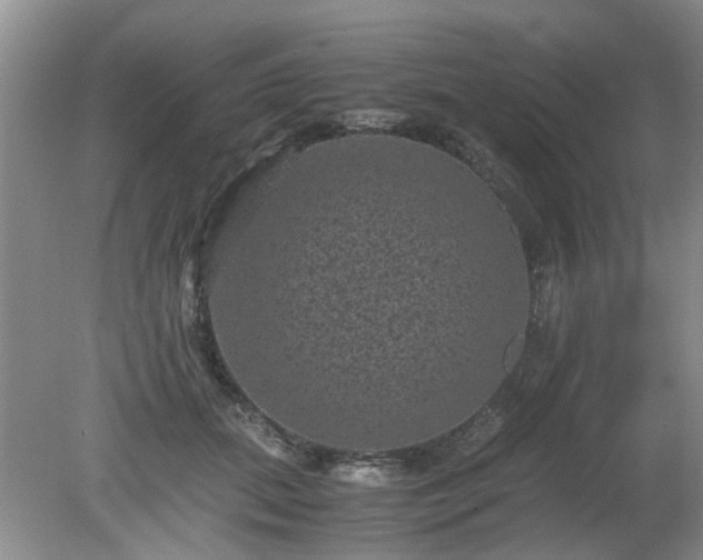 X0000081390655200701182233