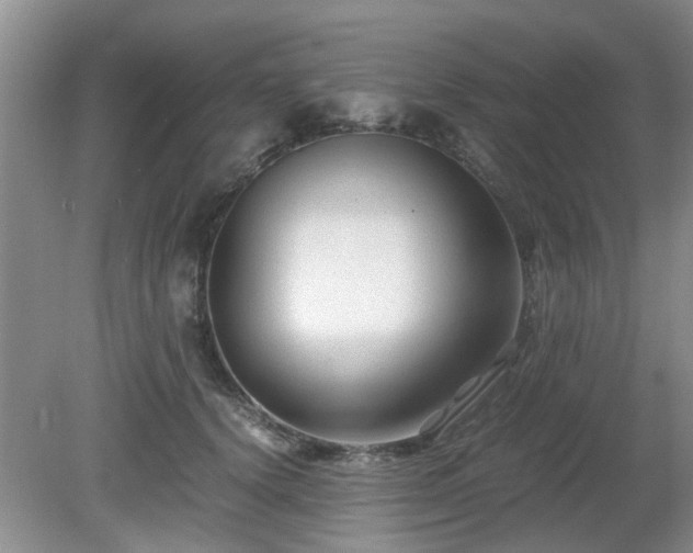 X0000081390656200701182233