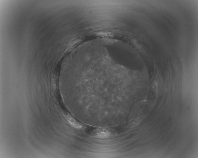 X0000081390658200701182233