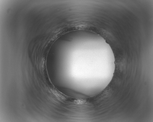 X0000081390660200701182233