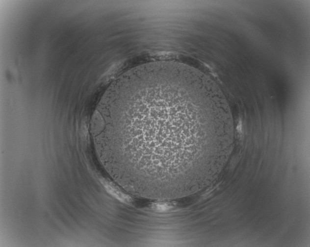 X0000081390662200701182233